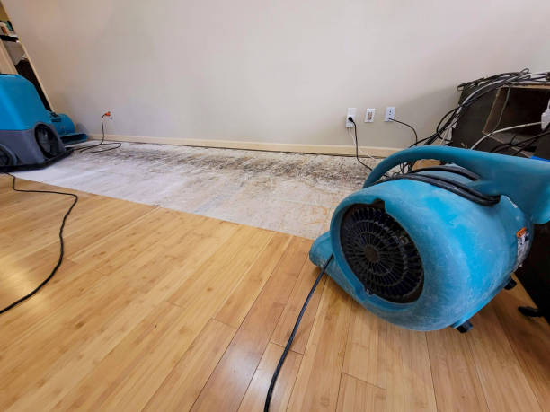 Professional Sewage Cleanup technician working in Burlington, ME